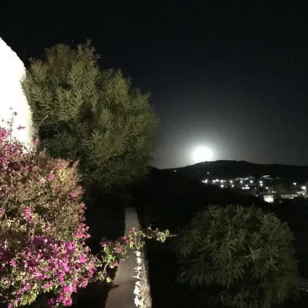 Casa Alegria Lejlighed