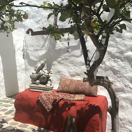 Casa Alegria Lejlighed *
