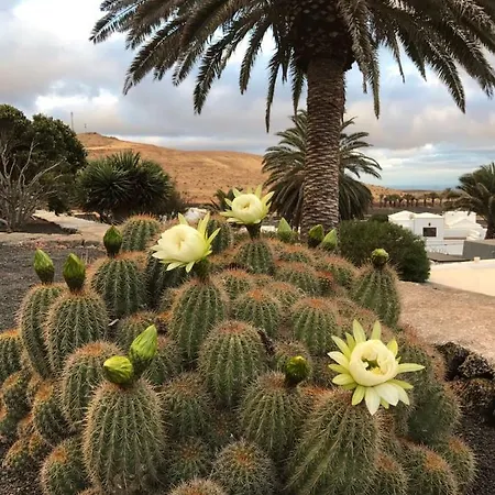 Casa Alegria Apartment *