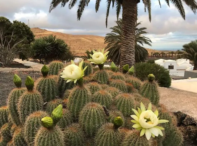 Casa Alegria Appartamento *